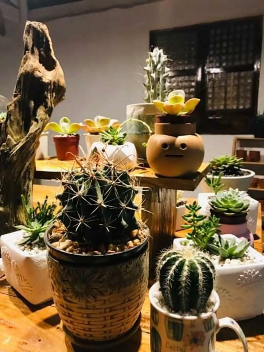 Samkara Restaurant And Garden Resort Lucban Екстериор снимка